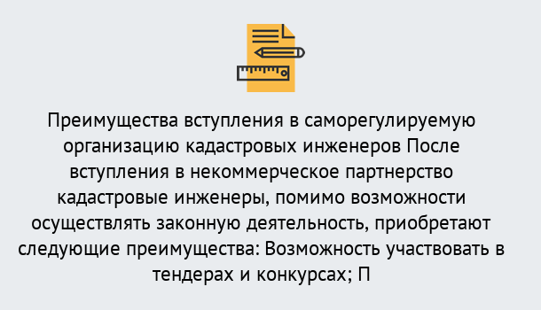 Почему нужно обратиться к нам? Скопин Что дает допуск СРО кадастровых инженеров?