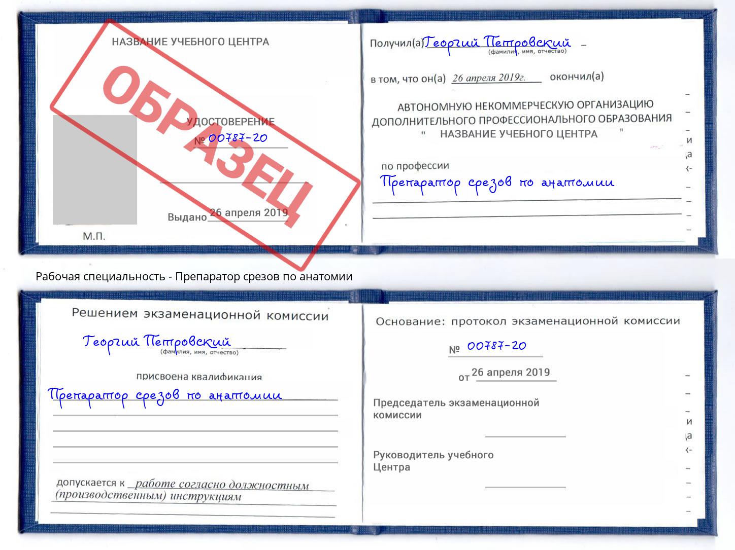 Препаратор срезов по анатомии Скопин