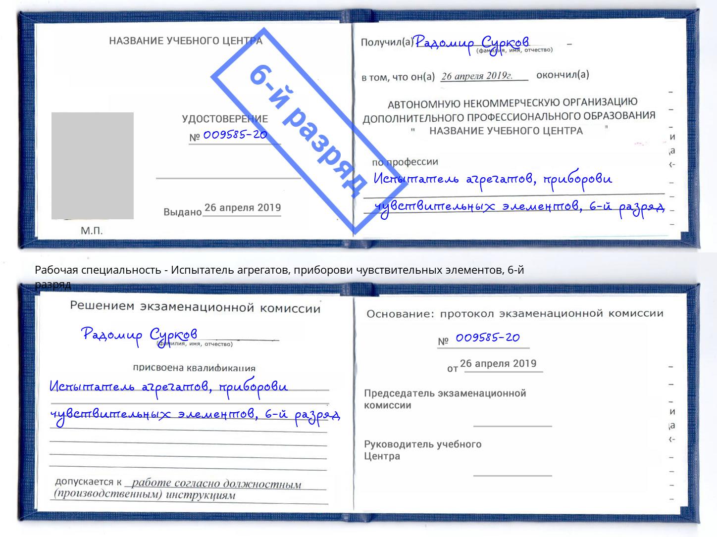 корочка 6-й разряд Испытатель агрегатов, приборови чувствительных элементов Скопин