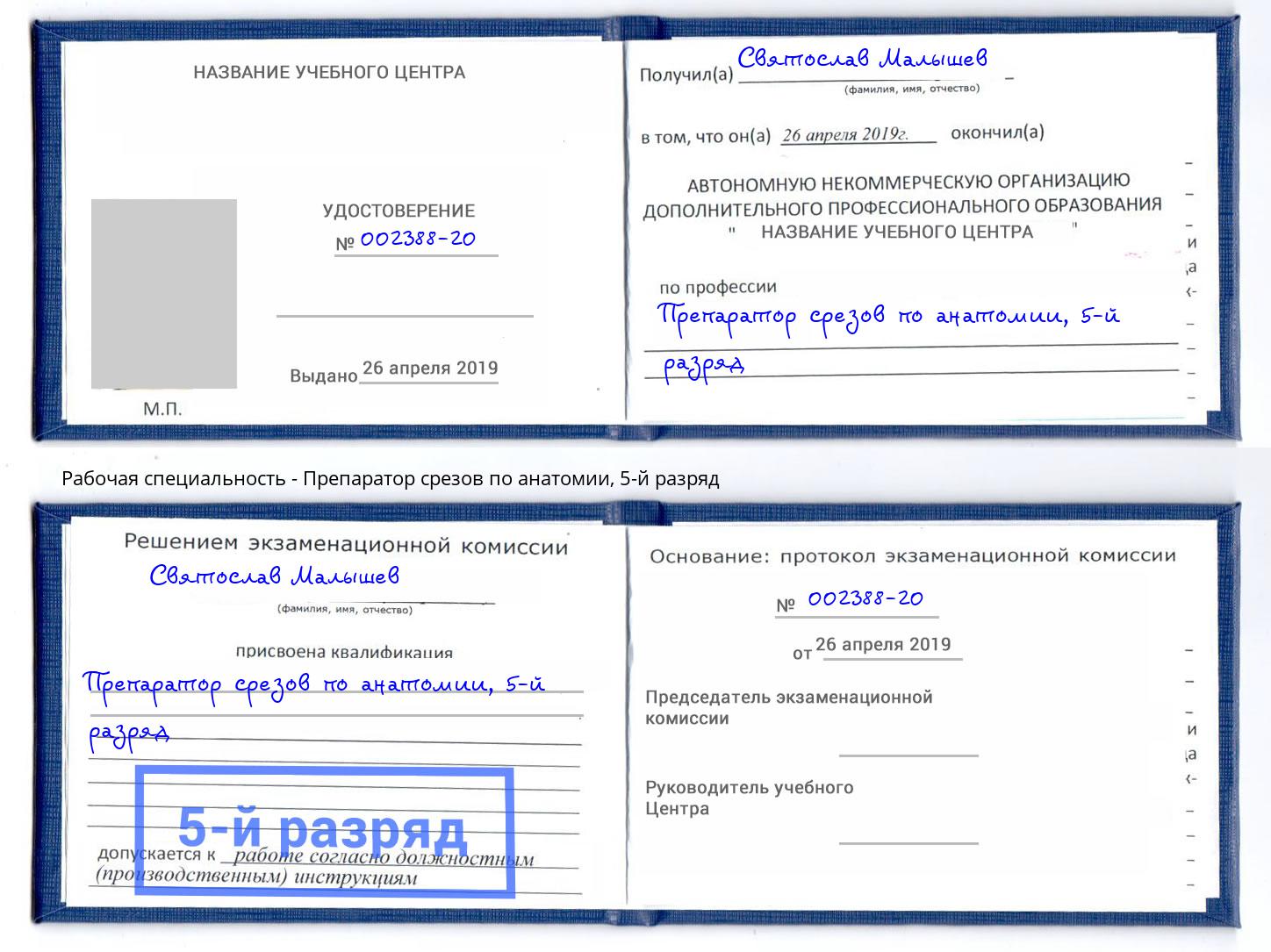 корочка 5-й разряд Препаратор срезов по анатомии Скопин