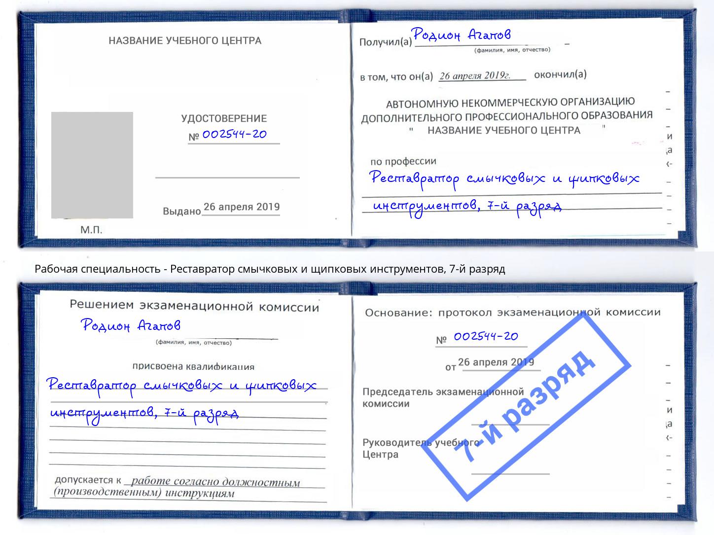 корочка 7-й разряд Реставратор смычковых и щипковых инструментов Скопин