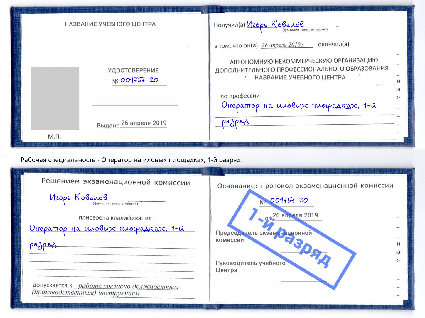 корочка 1-й разряд Оператор на иловых площадках Скопин