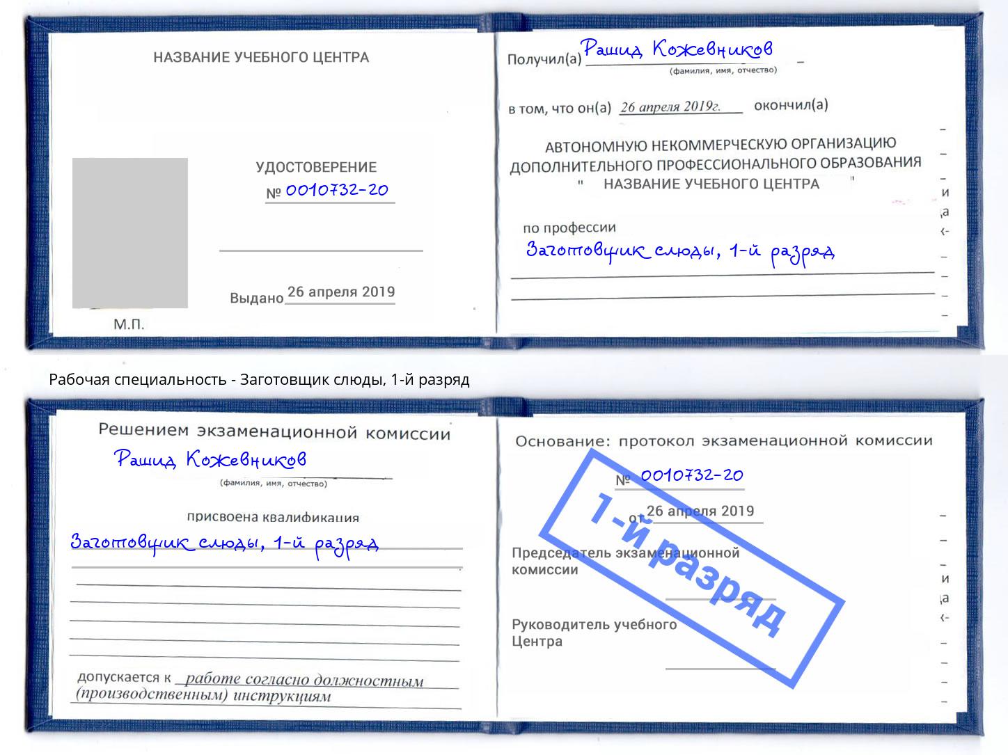корочка 1-й разряд Заготовщик слюды Скопин